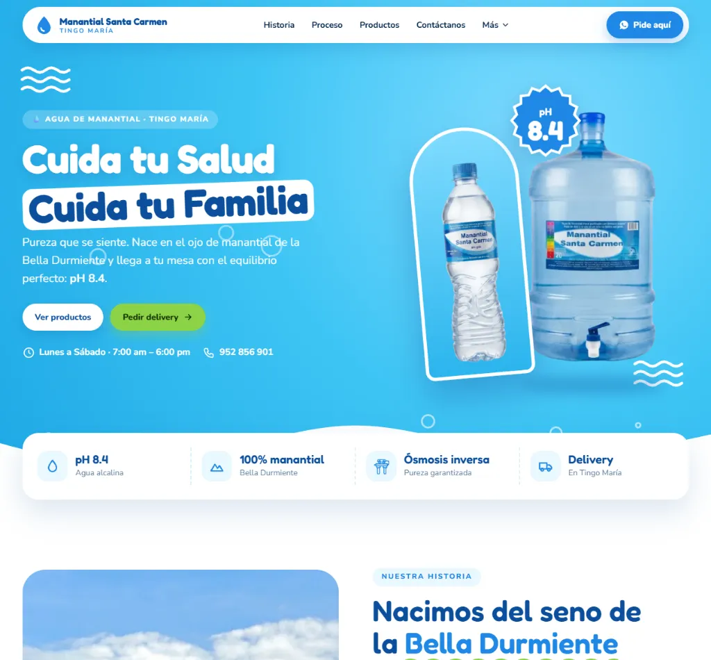 Landing page - Agua Manantial Santa Carmen